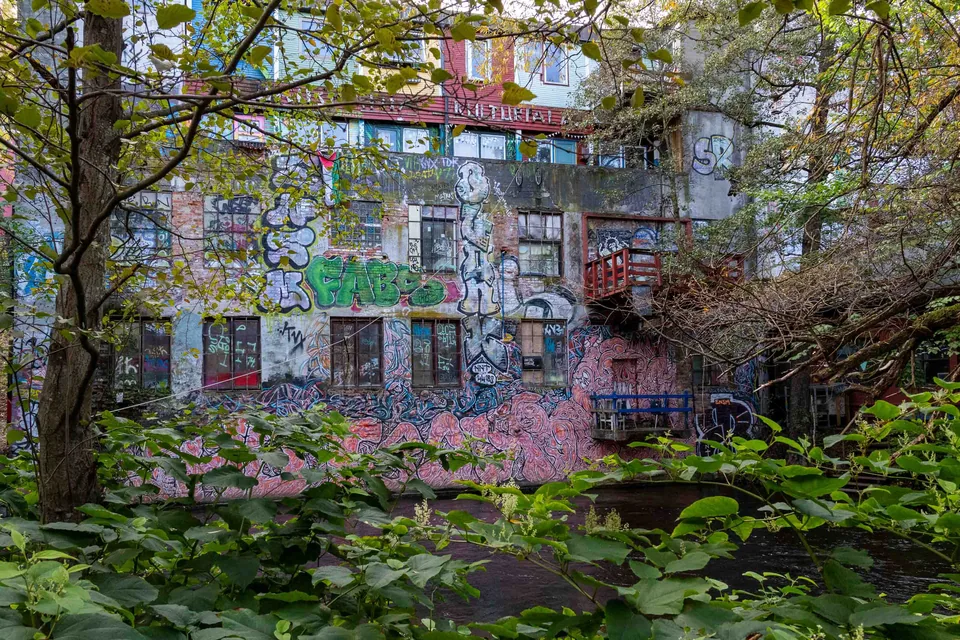 Fotografie